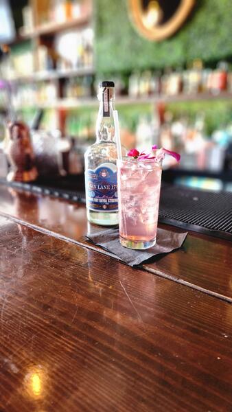 Gin Lane 1751 pink gin cocktail with orchid garnish against a living plant wall